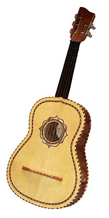 Vihuela Mexicana 001