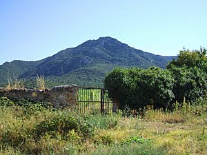 Archivo:Vista de Montejurra desde el Monasterio de Irache