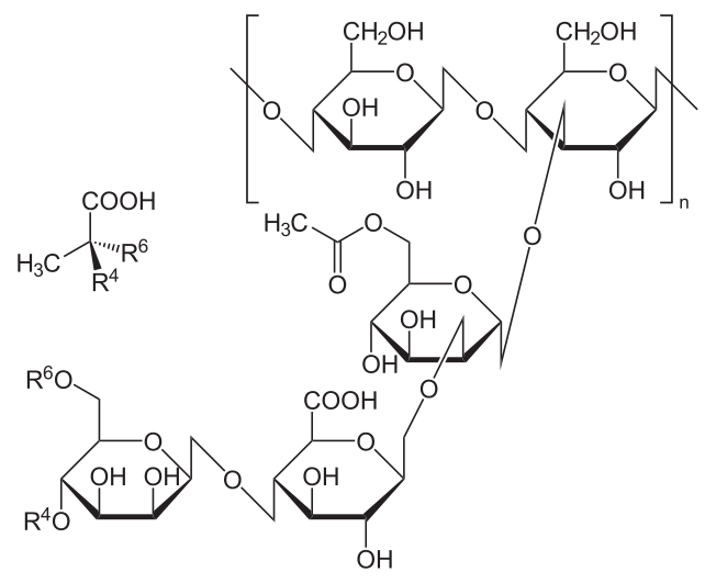 Xanthan