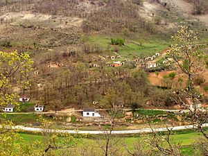 Archivo:030413 1236 CorralesDeDuero Valladolid Bodegas