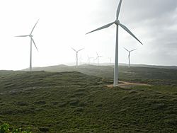 Archivo:Albany Wind Farm, Western Australia