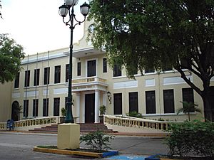 Archivo:Alcaldía de Juncos, Puerto Rico