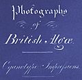 Anna Atkins Title Page of Photographs of British Algae Cyanotype Impressions (Detail)
