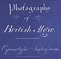 Anna Atkins Title Page of Photographs of British Algae Cyanotype Impressions (Detail)