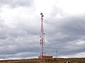 Antena De Celular Oicata