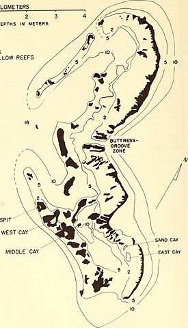 Atoll research bulletin (1969) (19724832503).jpg