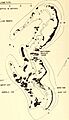 Atoll research bulletin (1969) (19724832503)