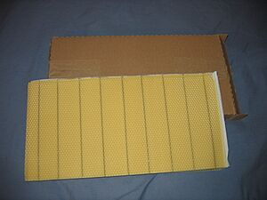 Archivo:Beekeeping wax foundation