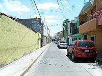 Archivo:Calle pípila de Uriangato