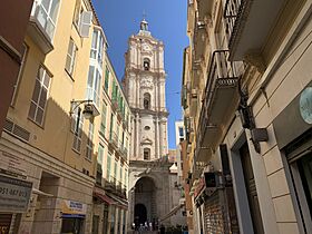 Catedral de Malaga (Andalucia, España 2022) (52061317071).jpg