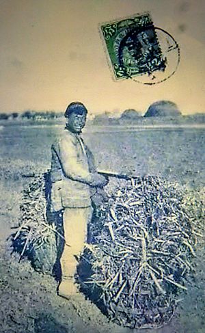 Archivo:Chinese Peasant ca 1909. - 1090198~3