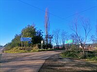 Archivo:Copihual Ñuble