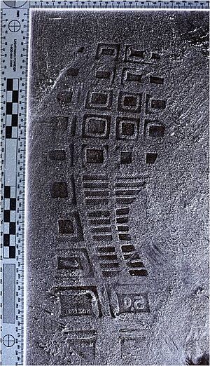Archivo:Crime scene shoeprint left