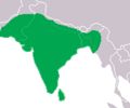 Crocodylus palustris Distribution