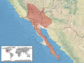 Crotalus mitchellii distribution (RDB)