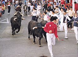 Detalle toros en encierro de San Sebastián de los Reyes.jpg