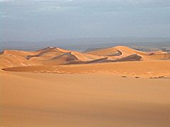 Dunes of Algeria
