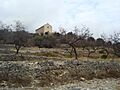 Ermita de La Barcella (Xert)