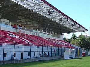 Archivo:Estádio do Mar 00006
