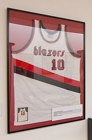 Archivo:FIBA Hall of Fame Alcobendas - Martín