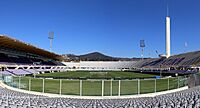 Firenze, stadio artemio franchi, campo da gioco, 10,0.jpg