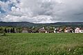 Flumenthal06