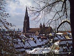 Archivo:Freiburg Münster3 05 03 06