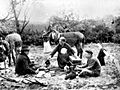 Fundación Joaquín Díaz - Estampa campesina - Mojados (Valladolid)