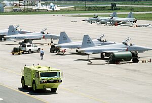 Archivo:Honduran and USAF F-5Es in 1989