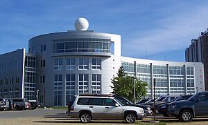Archivo:Iarc