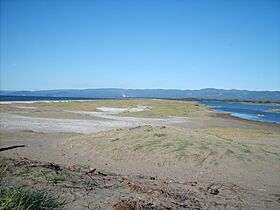 La Barra, Arauco - panoramio.jpg