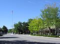 Los olivos street