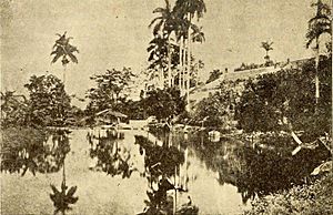 Archivo:Manatial Bello, Matanza, 1880