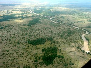 Archivo:Mara River Massai Mara