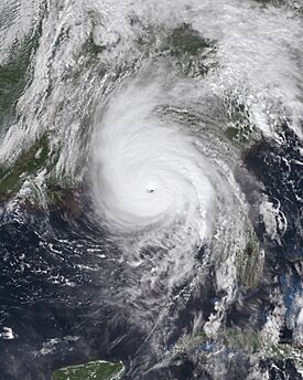 Michael 2018-10-10 1732Z.jpg