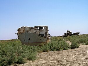 Archivo:Moynaq Boats