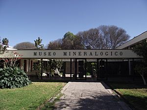 Archivo:Museo mineralogico