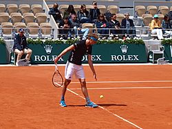 Archivo:Paris-FR-75-open de tennis-2019-Roland Garros-court Chatrier-28 mai-Zverev-02