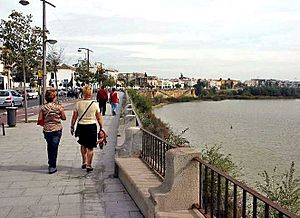 Paseo de la Ribera, Córdoba.jpg