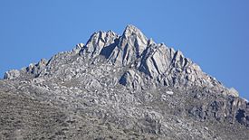 Pico El Campanario.jpg