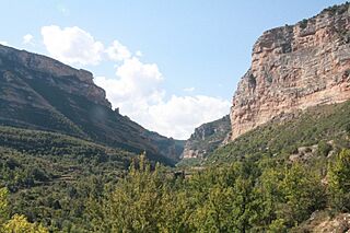 Pitarque (27614924882).jpg
