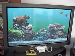 Archivo:Plasma display