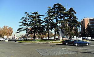 Archivo:Plaza de Fernández Ladreda (Madrid) 01