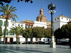 Plazaarriba3