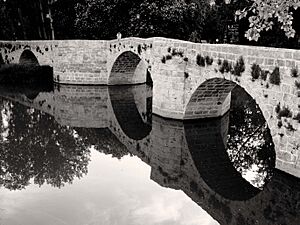 Archivo:Puentecillas B&W