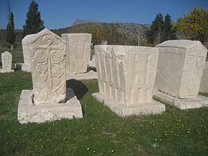 Archivo:Radimlja, Nekropola2