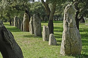 Archivo:Sardinien Goni Pranu Muttedu menhir-reihe