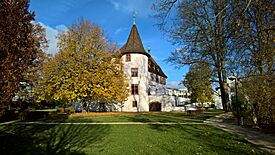 Schloss Binningen Südansicht WP 20171119 10 10 42 Pro.jpg