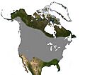 Silver-haired Bat North America Range