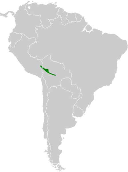 Thamnophilus aroyae map